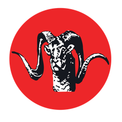 Frontier Works Organization (FWO), Pakistan